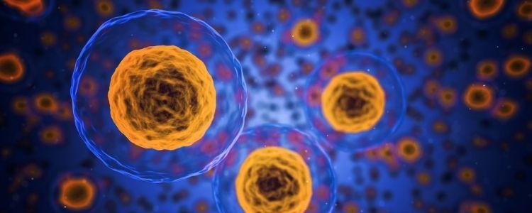 The Incredible Infrared Sauna Mitochondria Link