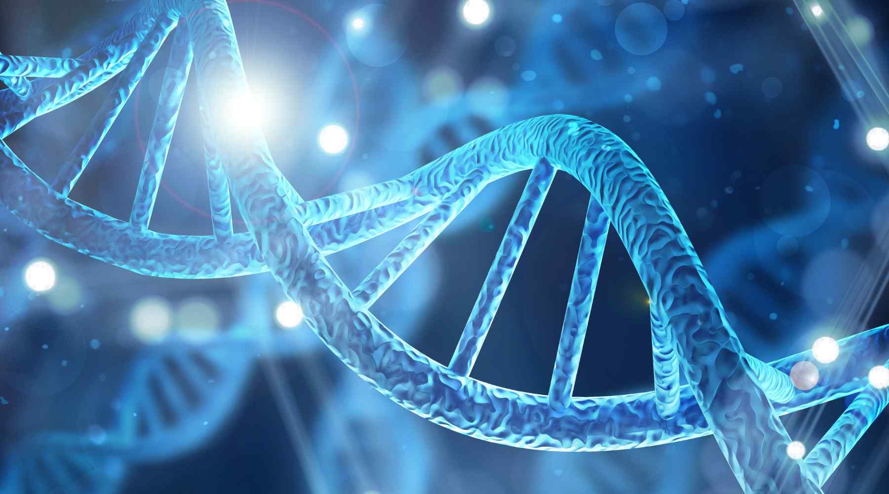 What is Hormetic Stress?